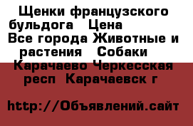 Щенки французского бульдога › Цена ­ 30 000 - Все города Животные и растения » Собаки   . Карачаево-Черкесская респ.,Карачаевск г.